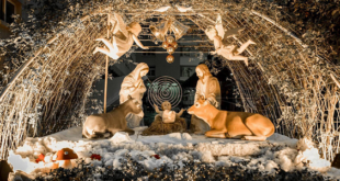 Ngày lễ Noel là ngày nào 2021 và ý nghĩa của ngày Noel bạn đã biết chưa